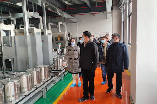 張恩迪率隊赴同祺醫藥科技走訪調研